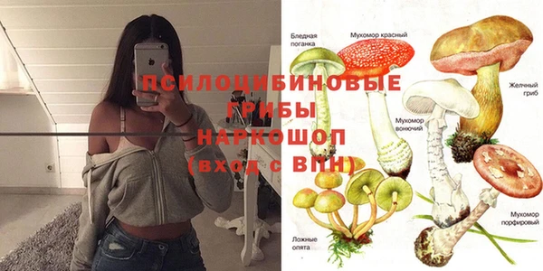 экстази Снежногорск