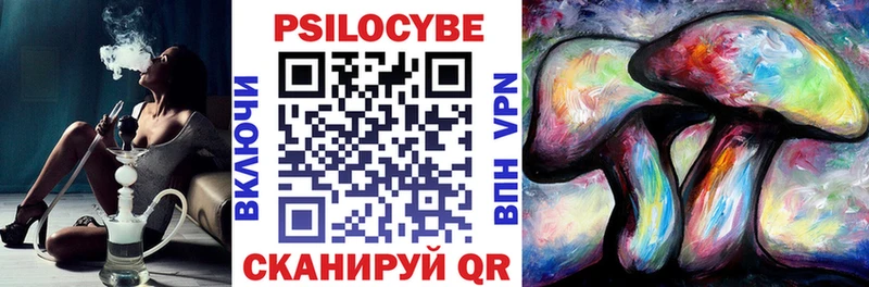 Псилоцибиновые грибы мицелий  наркотики  Галич 